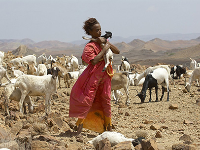 Fleur du désert, le destin bouleversant de Waris Dirie